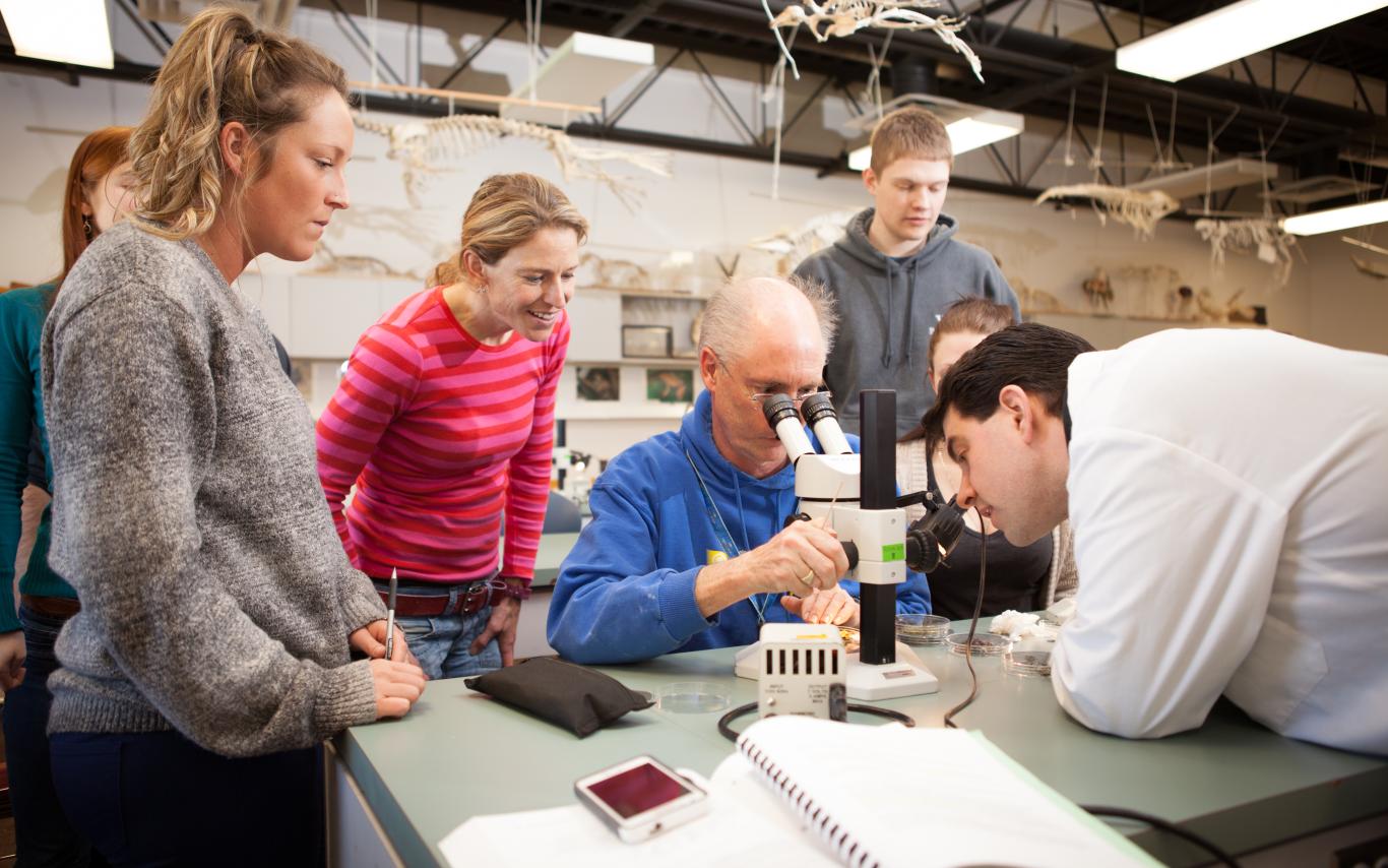 Students gather around a microscope